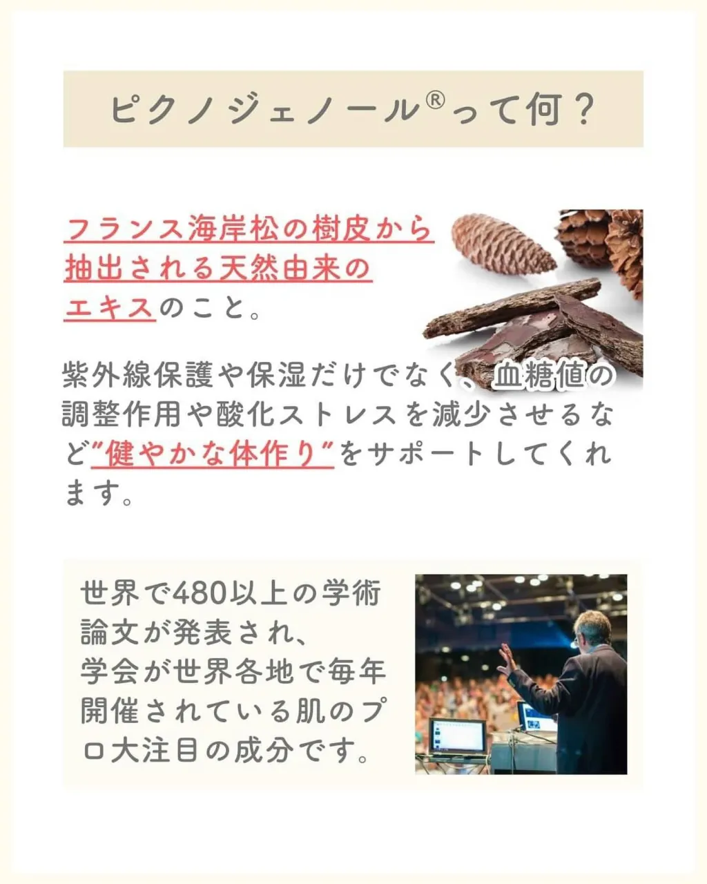 \ピクノジェノール®で肌質が変わる?/