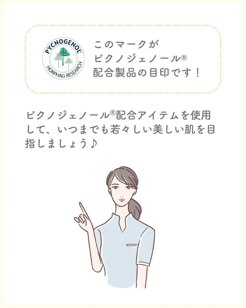 \ピクノジェノール®で肌質が変わる?/